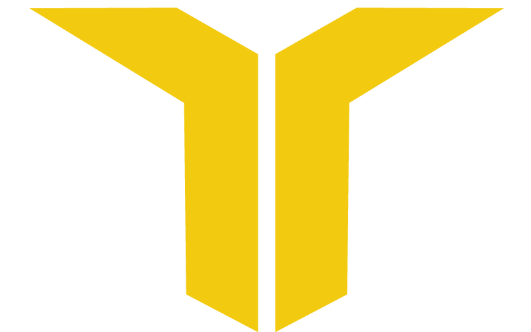 Logiweigh logo without text no bg